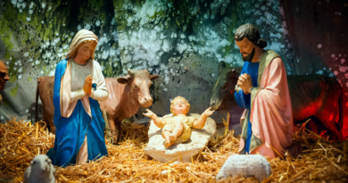 Wisdom of Nativity
